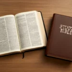 cual es la mejor biblia de estudio