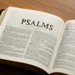 El libro delos salmos: guía completa para entender los salmos, su historia y significado el libro delos salmos