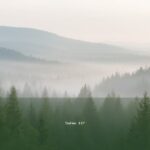 Salmo 127 — Shir Hama'alot | Texto, Significado y Reflexión