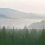 Salmo 7 — Shiggaion | Texto, Significado y Reflexión